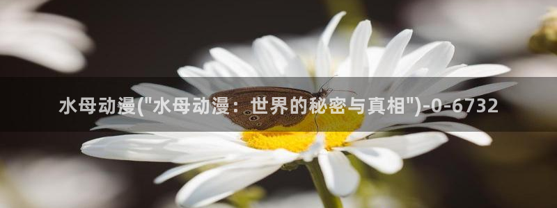 星星动漫:水母动漫(\